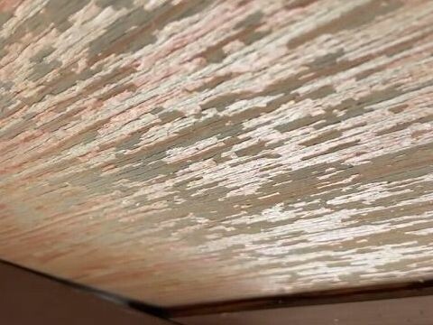 外壁塗装　リプルクリエイト　広島市　佐伯区　五日市　廿日市市　四季が丘　外壁洗浄　屋根洗浄　カーポート工事　破風　軒　樋　劣化　塗装　基礎　ヒビ割れクラック　塗膜　波板交換　ペイントライン　レジリエンスウレア　耐久年数　30年　40年　無機ハイブリッドチタンガード　ゼニス　レガロ　PL　カビ　藻ベランダ塗装